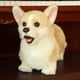 thumbnail image 4 of Set de regalo para bebés, peluche de perro Corgi de patas cortas, 4 of 5