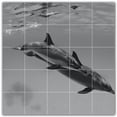 thumbnail image 1 of Picture-Tiles.com: Dolphin Ceramic Tile Wall Mural WAL500507-55S. 21.25"W x 21.25"H using (25) 4.25" x 4.25" Ceramic Tiles-Satin Finish, 1 of 3