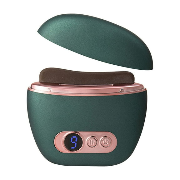 Microcurrent Face Lifter, USB Rechargeable, 9 Modes, Anti-Aging, Skin Tightening, for Face Neck Body, Portable Beauty Device, Wrinkle Reduction