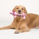 thumbnail image 4 of Mascotas Perro Felpa Masticar Juguetes Cachorro Squeaky Molar Suave Juguetes Interactivos (Rosa Grande), 4 of 7