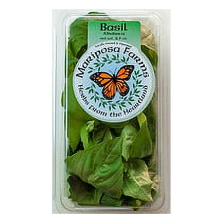 Fresh Mint Bunch