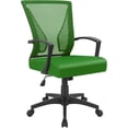 thumbnail image 1 of STTSTTA Office Chair Ergonomic Computer Desk Mesh Chair Mid Back Swivel Lumbar Support with Armrest (1, Green), 1 of 13