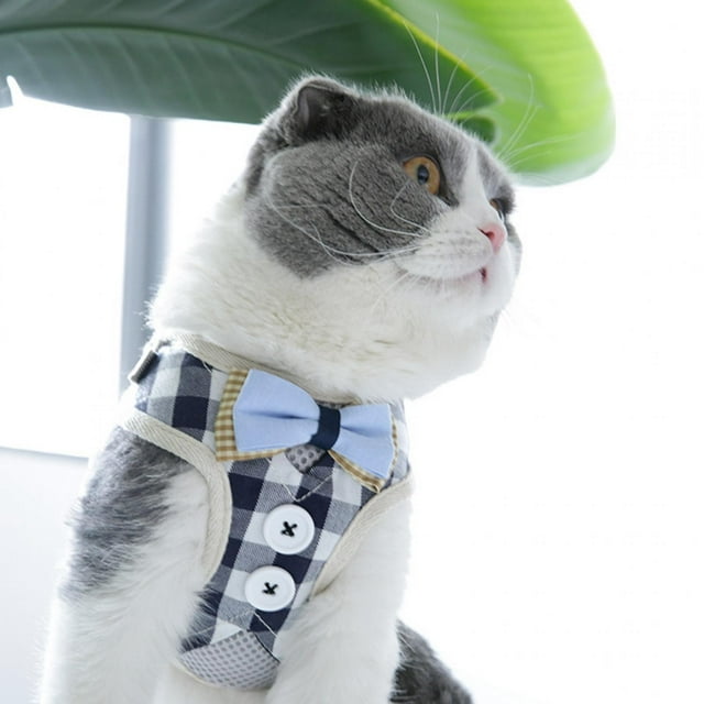 Arnés de correa de pecho Bling Bling estilo chaleco de malla transpirable de poliéster para gatos M