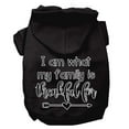 thumbnail image 3 of Thanksgiving Pet, Dog and Cat Hoodie Screen Printed, "I Am What My Family Is Thankful For", 3 of 10