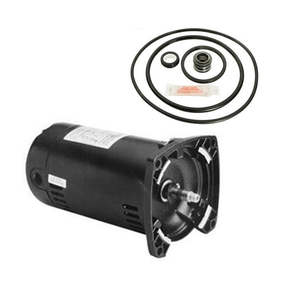 Puri Tech Pentair Pinnacle .75HP 342853 Replacement Motor Kit AO Smith USQ1072 w/GO-KIT-24