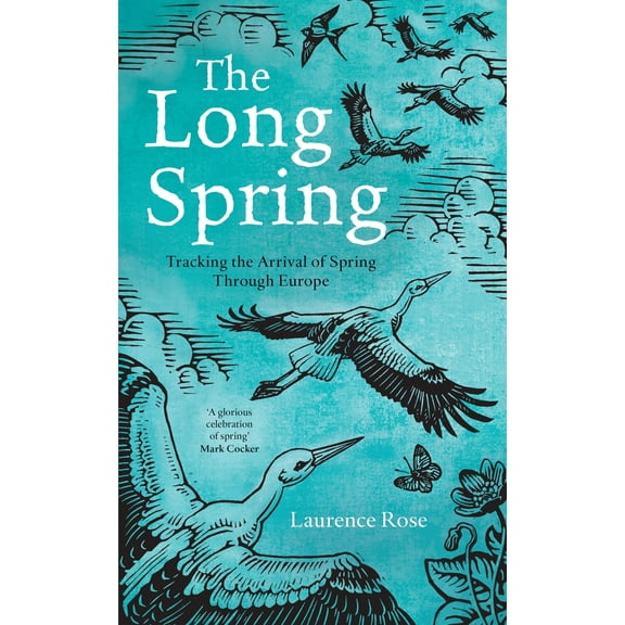 The Long Spring (Hardcover)