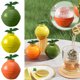 thumbnail image 1 of Fiudx Molde para Bolas de Hielo, Contenedor Esférico de Hielo, Material Apto para Uso Alimentario, Bolas de Hielo Grandes de 6 Cm, Fusión Lenta para Una Frescura Duradera, Perfecto para Vino Tinto y, 1 of 3