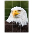 thumbnail image 1 of Picture-Tiles.com: Bird Ceramic Tile Wall Mural WAL500149-34M. 18"W x 24"H using (12) 6" x 6" Ceramic Tiles-Satin Finish, 1 of 3