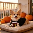 thumbnail image 7 of Tuvgenk Halloween Pet Pastor Costume for Dogs Cats, Priest Outfit with Hood for Holiday Party Dress Up, Cute Photo Prop for Small Animals, Size M, 7 of 7