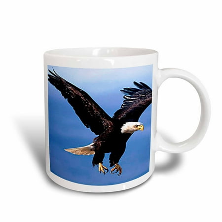- 3dRose Bald Eagle, Ceramic Mug, 11-ounce