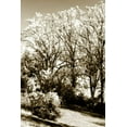 thumbnail image 2 of Alan Hausenflock 28x40 Gallery Wrapped Canvas Wall Art Titled - Autumn Meadow II, 2 of 4