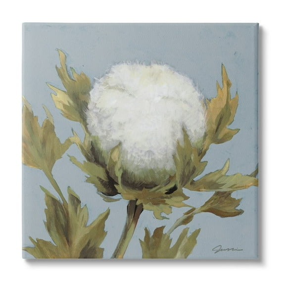Stupell Industries Cotton Flower Blooming Nature Botanical & Floral Painting Gallery Wrapped Canvas Print Wall Art