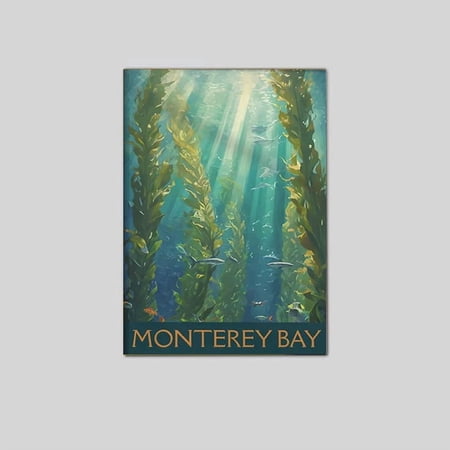 Monterey Bay Aquarium Kelp Forest Poster Full Size 24''x36'' Goldengate
