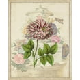 thumbnail image 2 of Vision Studio 15x18 White Modern Wood Framed Museum Art Print Titled - Vintage Rose Bookplate, 2 of 4
