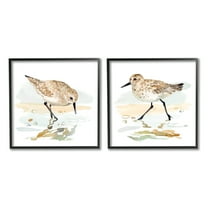 Stupell Industries Sea Birds on Shore Animals & Insects Painting Black Framed Art Print Wall Art, 12 x 12