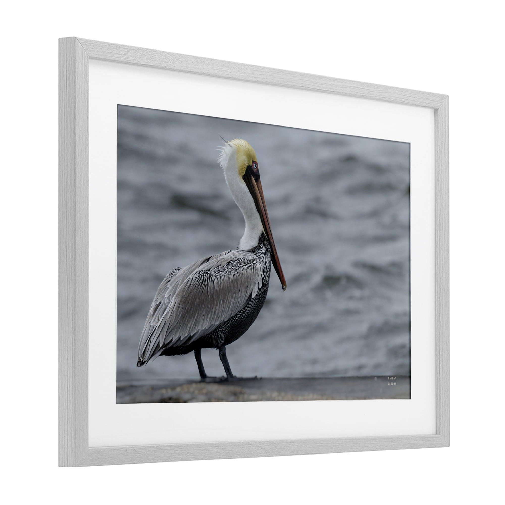 Stupell Industries Pelican Watch Photography Gray Framed Print Under Glass, design by Nathan Larson