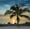 Key West Sunset Palm, variant on Elephant Stock Key West Sunset Palm Wall Art - Horizontal Canvas Wall Art - Living Room Wall Decor - Beach Canvas - Gray And Green Decor - 12" x 8"