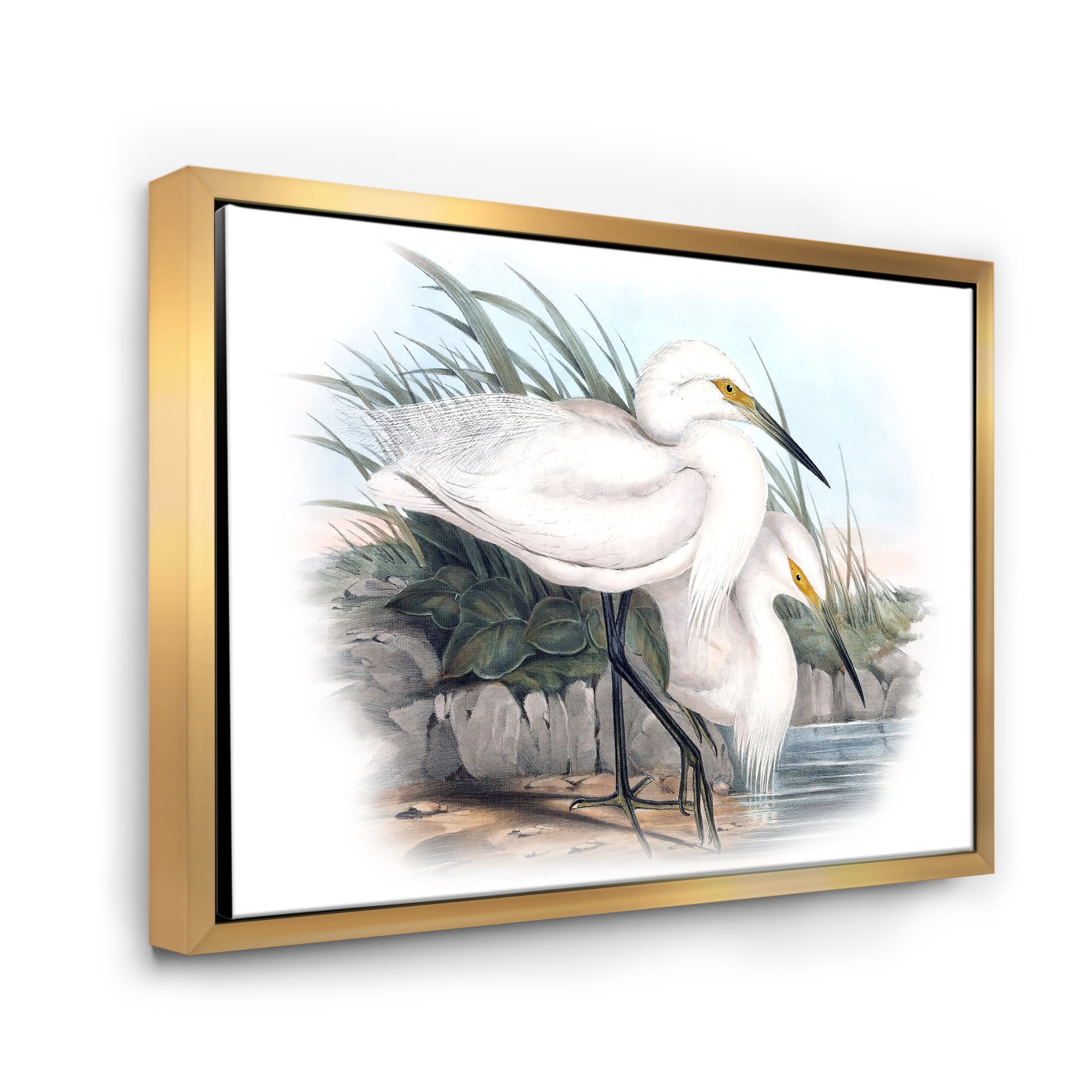 Designart 'Ancient Bird Life I' Traditional Framed Canvas Wall Art Print