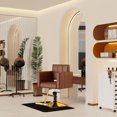 thumbnail image 2 of Baasha High-end Salon Chair, Gold & Brown Styling Chair, Faux Leather, 360° Swivel, 330 lbs Weight Capacity, Memory Foam Cushion, Arm Rest, Ergonomic, Adjustable Height, Foot Rest, PU Leather, 2 of 7