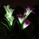 thumbnail image 3 of Lámparas solares de lirio LED para jardín - 2 piezas con cambio automático de 7 colores, resistentes al agua IP55, 3 of 6