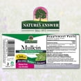 thumbnail image 2 of Suplemento de extracto de hoja de gordolobo de Nature's Answer, 60 ml, 2000 mg, 2 of 4
