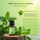 thumbnail image 5 of Aceite Esencial de Menta MenstrEaze 10 ml Natural y Puro, 5 of 9