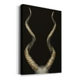 thumbnail image 2 of Spiral Antelope Horns Premium Gallery Wrapped Canvas - Ready to Hang, 2 of 9