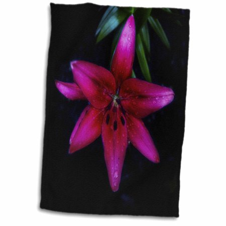 3dRose Reddish Pink Day Lilly - Towel  15 by 22-inch (twl_336436_1)