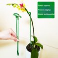 thumbnail image 4 of 30Pcs Plant Support Stakes For Indoor Outdoor Rose Orchid Flowers Single Stem  Plant Anti-Falling（6.69in）, 4 of 6