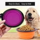 thumbnail image 2 of 350/1000ml Large Collapsible Dog Pet Folding Silicone Bowl Outdoor Travel Portable Puppy Food Container Feeder Dish Bowl ShopWise Round, 2 of 14
