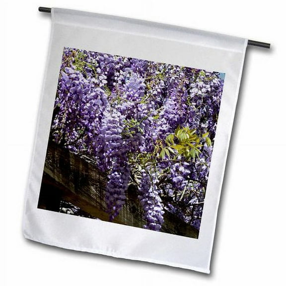 3dRose, Purple Springtime Wisteria Georgia's springtime wisteria, 18 x 27 inch Garden Flag