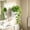 White WH, variant on WWV Wall Mounted Hydroponic Planter ,Plants Holder Wall Pots for Indoor Plants ,Transparent Self Watering Flower Pot for Home Decor Office Home Garden Decoration Gift Green