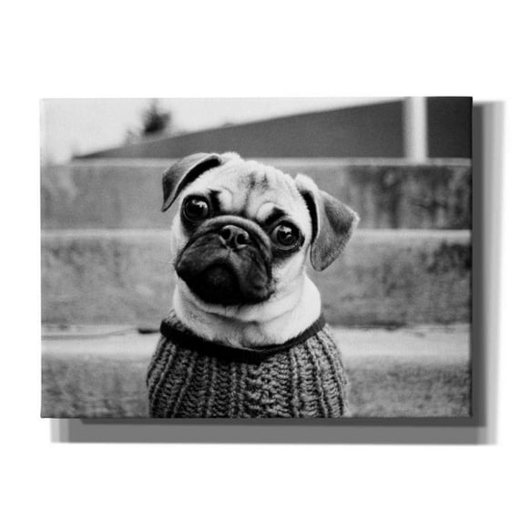 Epic Graffiti 'Cleo' by Kim Levin, Canvas Wall Art, 54"x40"