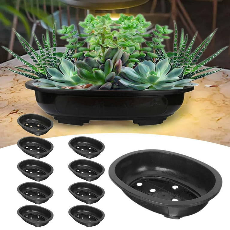 simhoa 10 Pieces Bonsai Training Pots Oval Planter Pot with Drainage Hole  Gardening Flowerpots Plants Growing Pots for Hotel Nursery 340mmx270mmx85mm  - Walmart.com