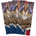 thumbnail image 4 of Creative Britan Flag Tea Towels Set of 6 Funny Serious Cat Kitchen Dish Cloth with Hanging Loop, 18"x28"Lint-Free Absorbent Towel for Kitchen Drying Wiping and Cleaning, 4 of 5