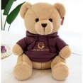 thumbnail image 1 of Nuevo suéter de oso de peluche, oso de peluche, muñeco de animal - JinJin, 1 of 1