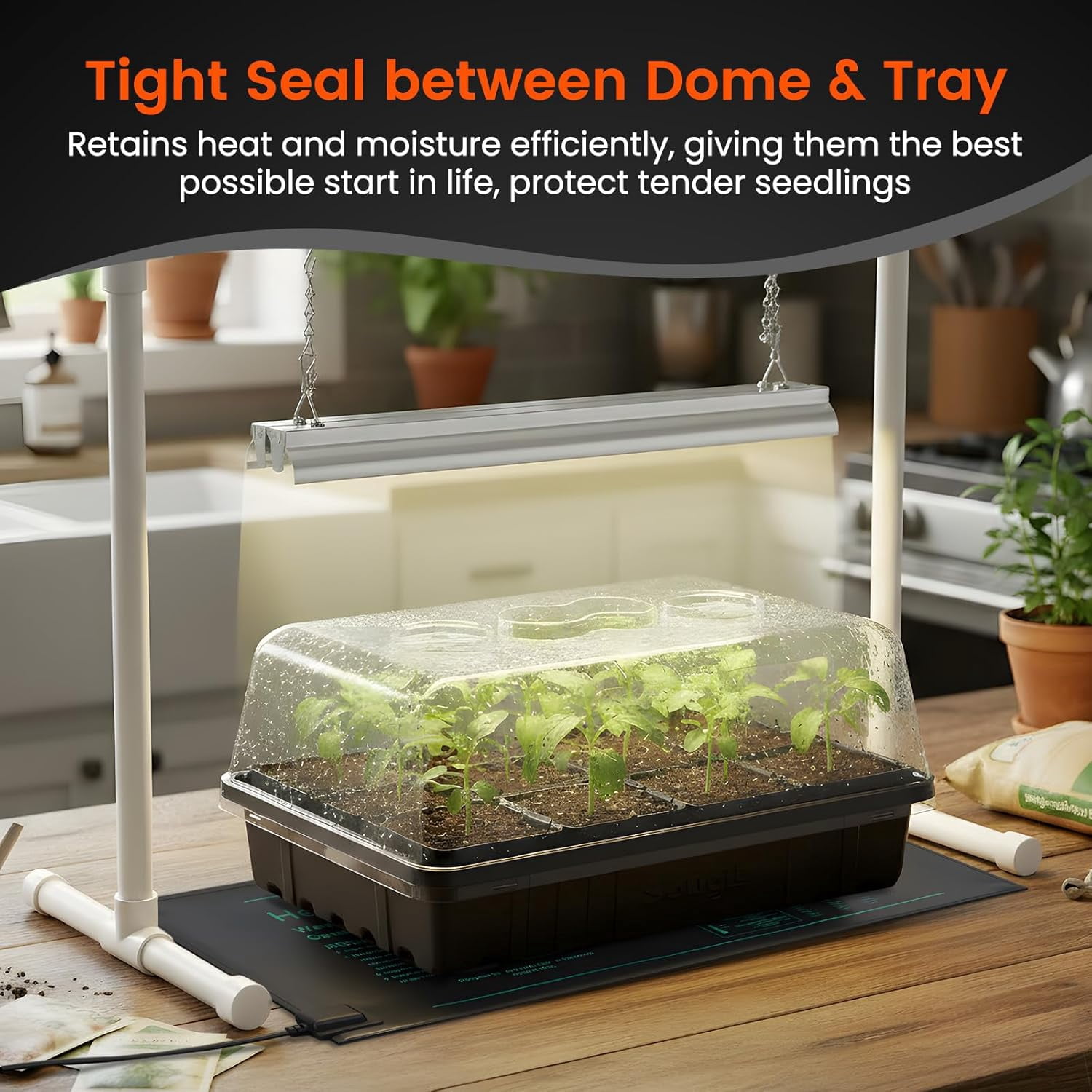 [Thick Plastic] 3-Set Strong Seed Starter Trays with 5" Humidity Domes for Starting, Germination, Seedling Propagation & Plant Growing, Holds 144 Cells in Total