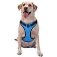 thumbnail image 1 of Fotbe Colorful Snake Arnés para Perro con Estampado –Chaleco Ajustable Acolchado con Asa de Control para Perros Grandes-Small, 1 of 6
