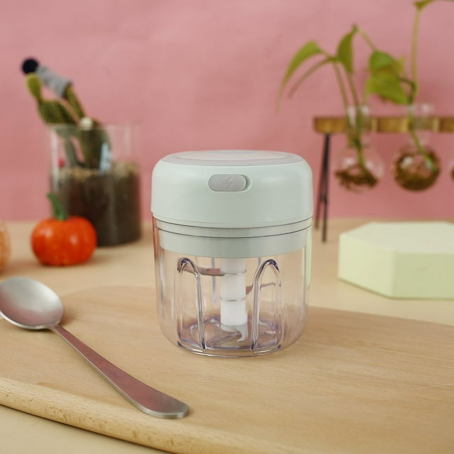 POINTERTECK Electric Mini Garlic Chopper Mini Chopper Food Processor Food Blender for Chop Onion Ginger Vegetable Pepper Spice Meat Baby Food (250ml)