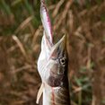 thumbnail image 4 of 3D imprimió los accesorios durables de la pesca del señuelo 60g de la pesca del bastidor de la orilla del agua salada, 4 of 5