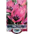 thumbnail image 2 of Norah Specie Tulip 10 Bulbs - Heirloom Perennial - 6/+cm Bulbs, 2 of 4