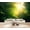 Color 2, variant on Wallpaper Vibrant Tropical Leaf Bright Green Yellow Pink Shades Peel and Stick Wall Murals 100"H x 144"W Removable PVC Wall Paper Self-Adhesive Wall Paintings Art Decor for Bedroom Living Room