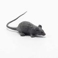 thumbnail image 4 of Mini modelo de ratón simulado Zefei Wu 60 uds de plástico para Halloween, 4 of 5