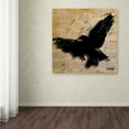 thumbnail image 4 of Roderick Stevens 'The Raven 2' Huge Canvas Art 35 x 35, 4 of 4