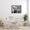 thumbnail image 2 of Stupell Industries Wild Country Cattle Portrait Black and White Photography Gallery-Wrapped Canvas Print Wall Art, 30x40, by Nathan Larson, 2 of 5
