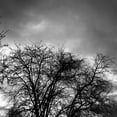 thumbnail image 2 of Urban Epiphany 12x12 Black Ornate Wood Framed with Double Matting Museum Art Print Titled - Winter Sky Square, 2 of 4