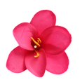 thumbnail image 2 of 20 Piezas Flores Artificiales Cabezas Pequeñas para de Bricolaje, , Flores de Muñeca yotijar Cabezas de flor artificial, 2 of 5