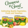 thumbnail image 5 of Del Monte Harvest Spice Sliced Peaches in Extra Light Syrup, 15 oz Can, 5 of 6