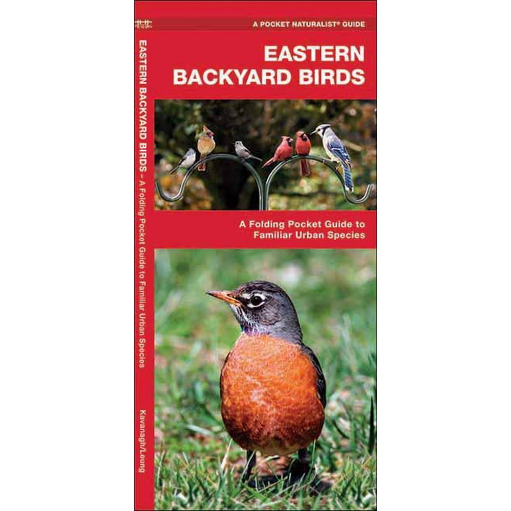 Pocket Naturalist Guides Eastern Backyard Birds An Introduction to