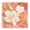 Hibiscus Floral Botanical, variant on Stupell Industries Bohemian Hibiscus Flower Bunches Canvas Art, 17 x 17, by Paul Brent